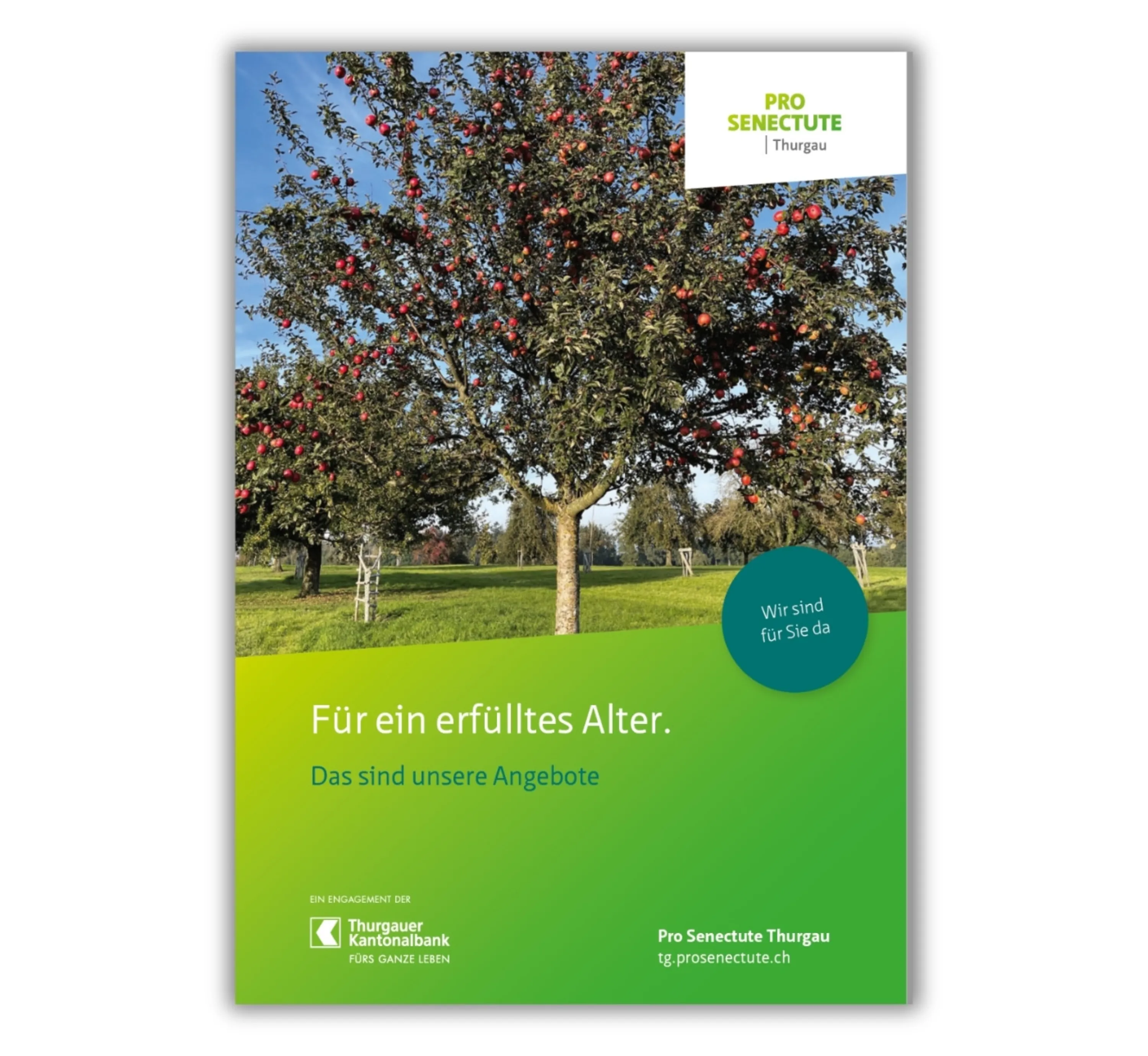 Kachel_Shop_Angebote